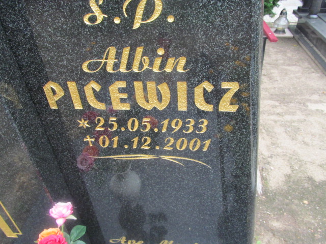 Albin Picewicz 1933 Trzebiel 0894 - Grobonet - Wyszukiwarka osób pochowanych