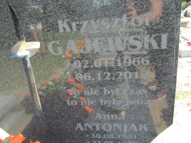 Anna Antoniak 1901 Trzebiel 0894 - Grobonet - Wyszukiwarka osób pochowanych