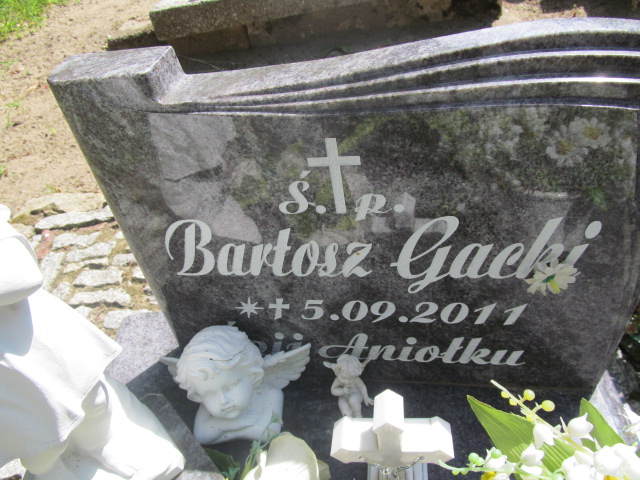 Bartosz Gacki 2011 Trzebiel 0894 - Grobonet - Wyszukiwarka osób pochowanych
