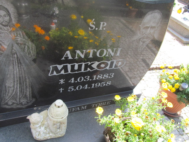 Antoni Mukoid 1883 Trzebiel 0894 - Grobonet - Wyszukiwarka osób pochowanych