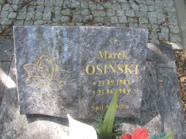 Marek Osiński 1983 Trzebiel 0894 - Grobonet - Wyszukiwarka osób pochowanych